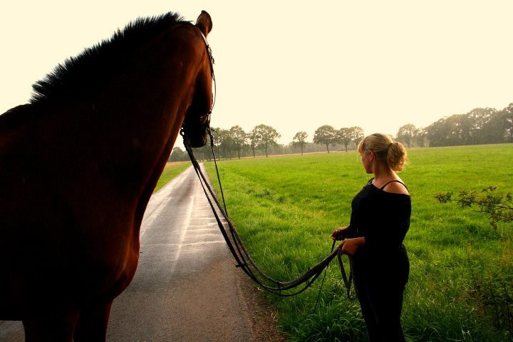 Über Mich - EquiFee - Pferdetherapie